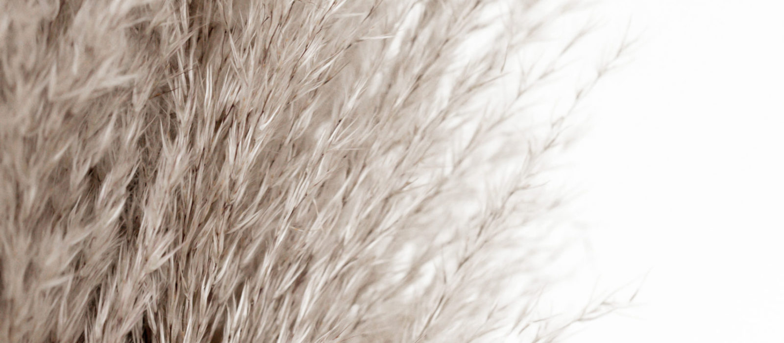 4 Eco-Friendly Polyester Alternatives for a More Sustainable Wardrobe