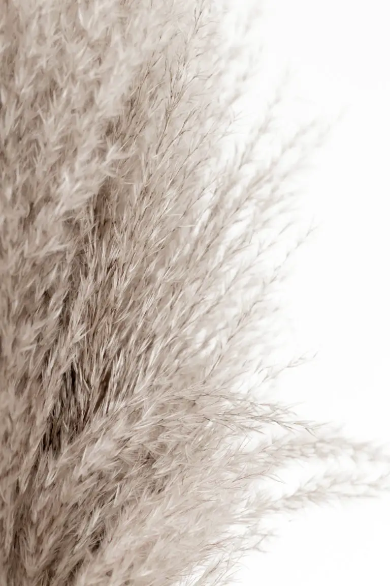 4 EcoFriendly Polyester Alternatives Dreamer In Denim