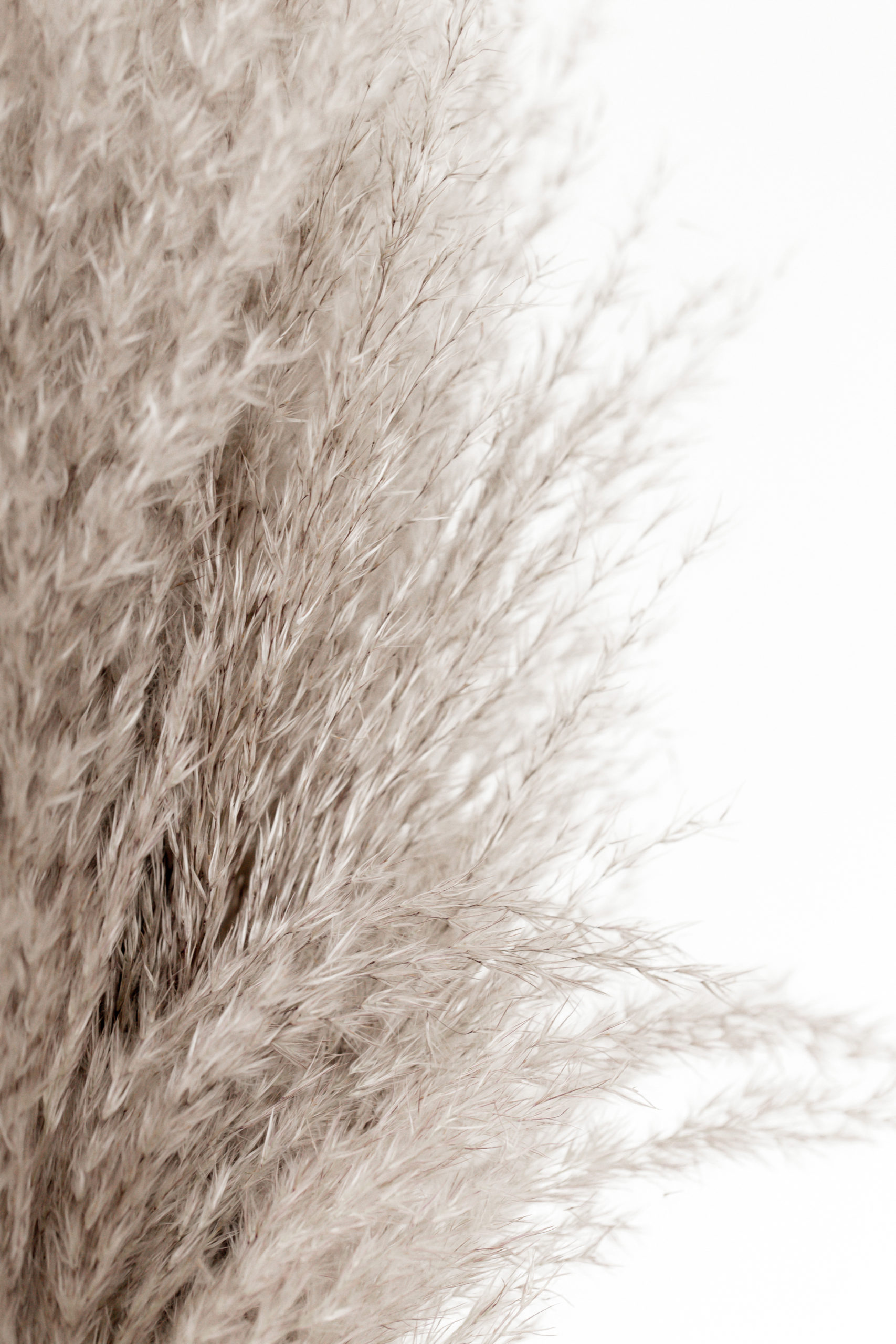 4 EcoFriendly Polyester Alternatives Dreamer In Denim